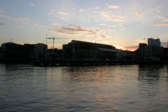 DSCN9719